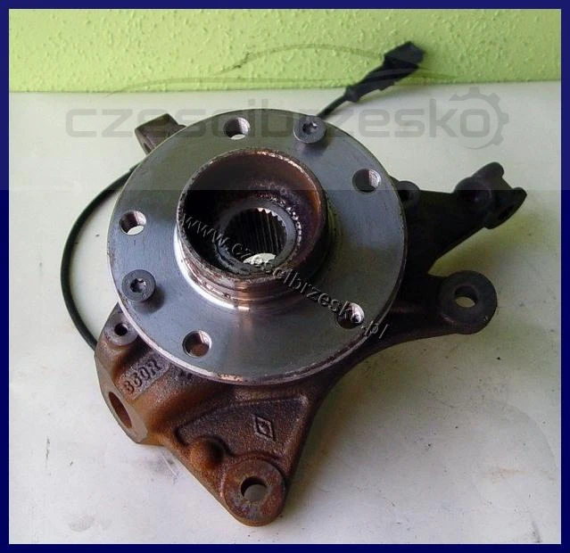 5795204497_2