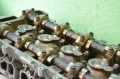 11629cz3.jpg