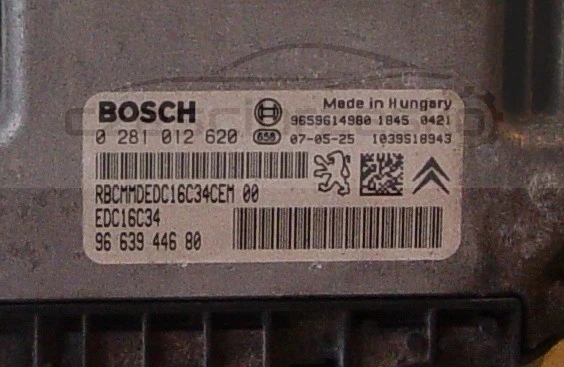 5044341369_1