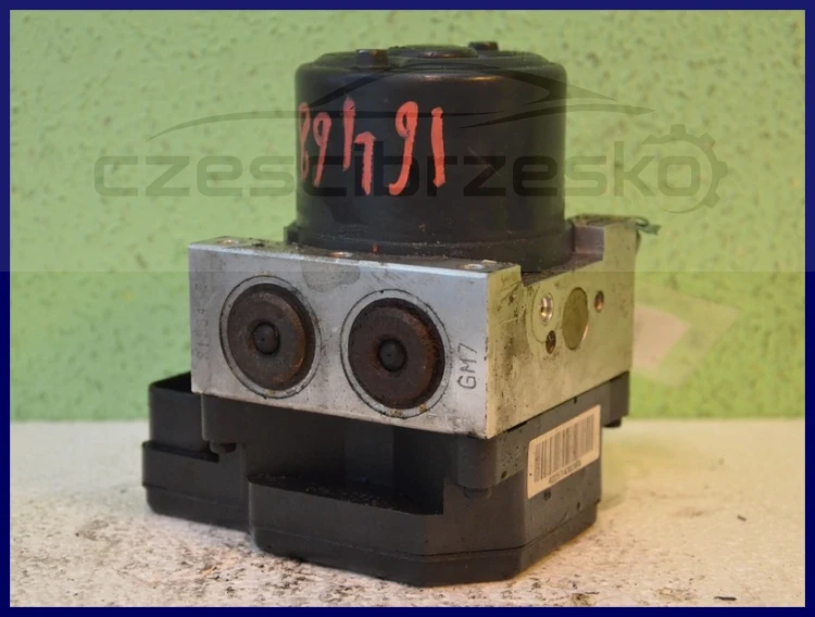 10041cz1.jpg