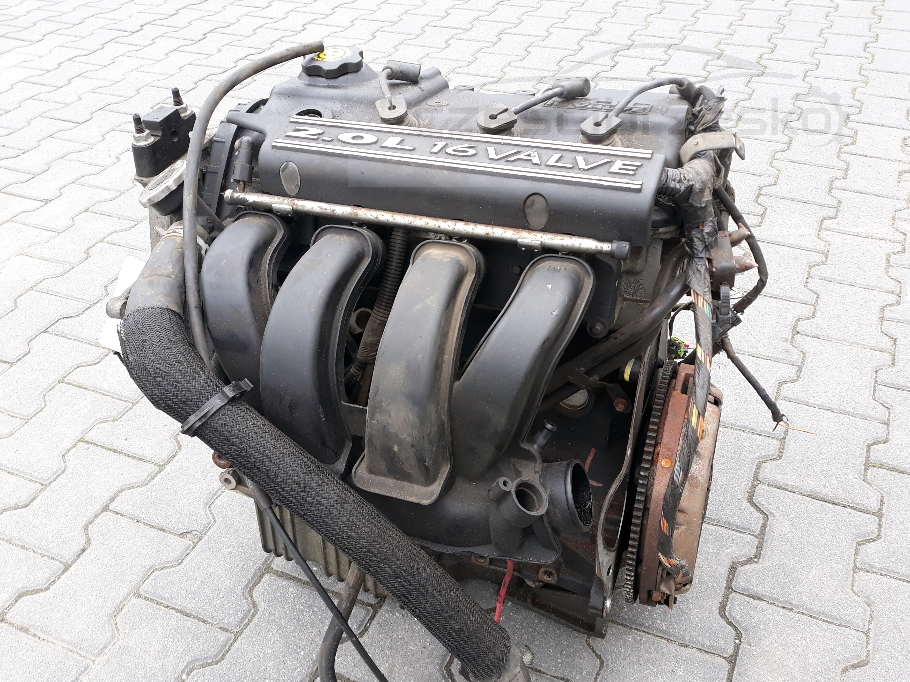 e2.jpg