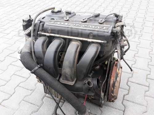 e2.jpg