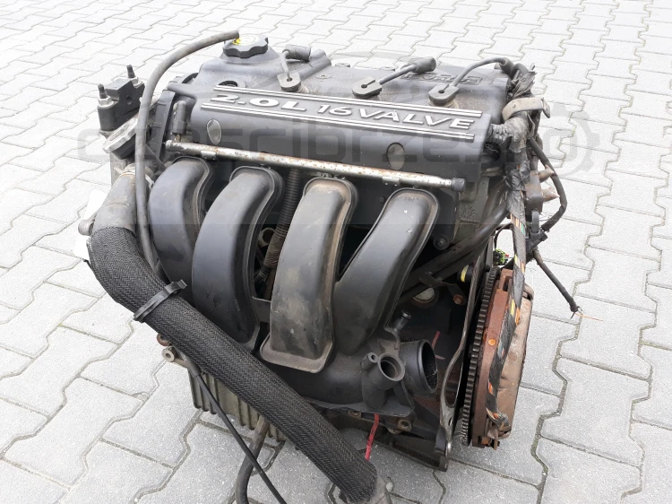 e2.jpg