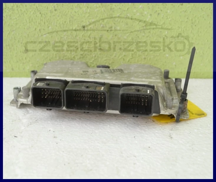 5001cz3.jpg