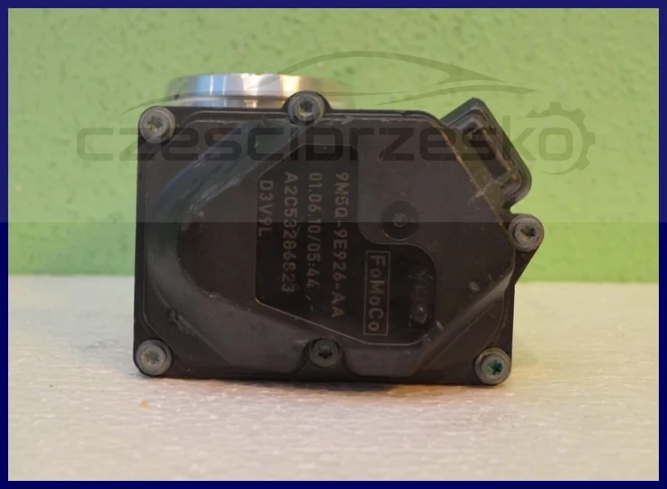 6308cz3.jpg