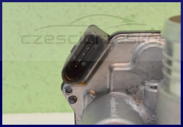 6308cz5.jpg