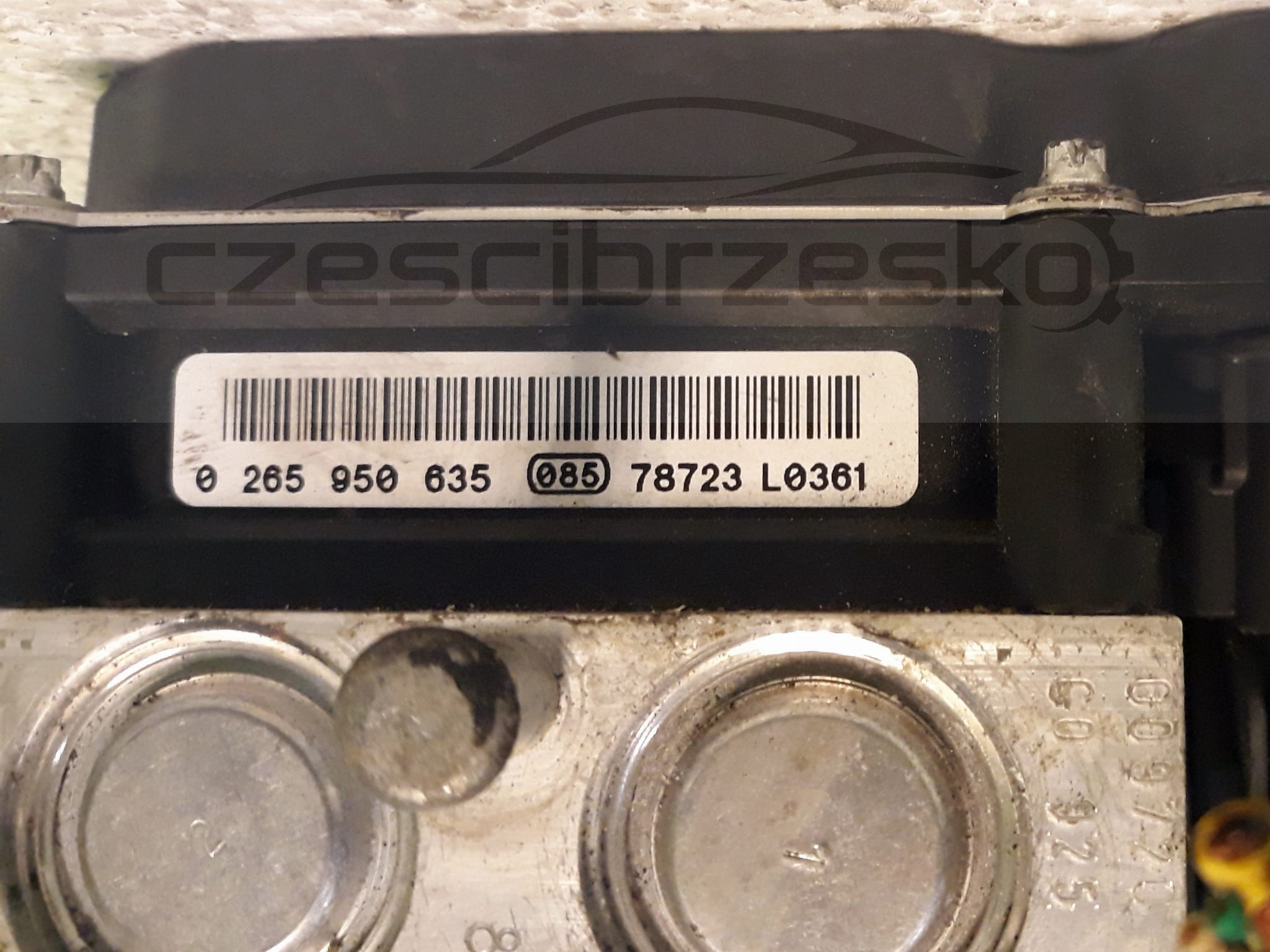 12905cz2.jpg