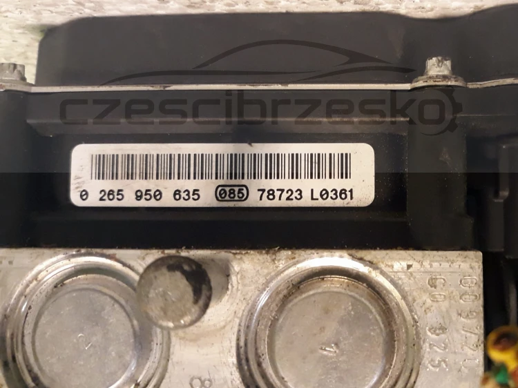 12905cz2.jpg