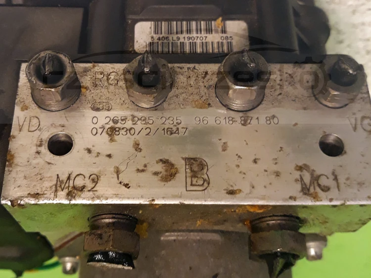 12905cz3.jpg