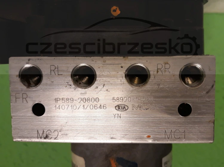 12991cz5.jpg