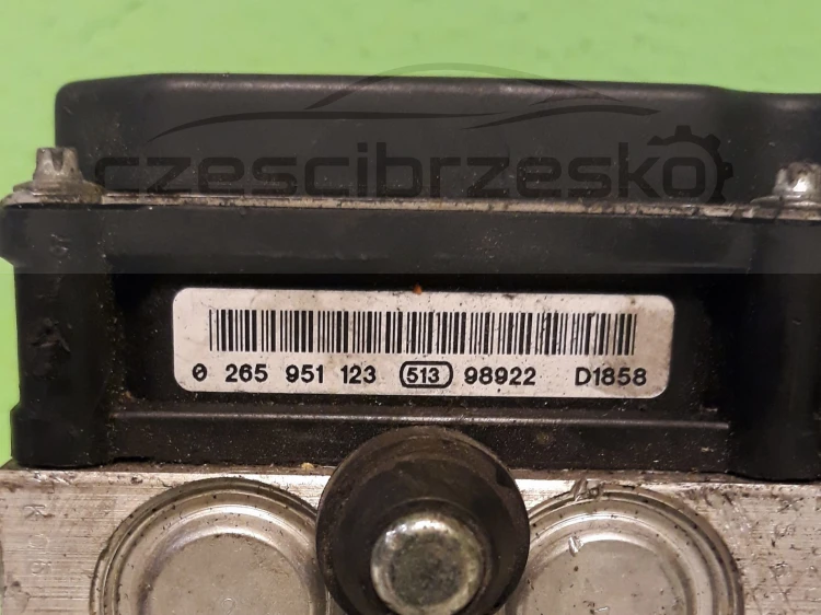 13003cz3.jpg