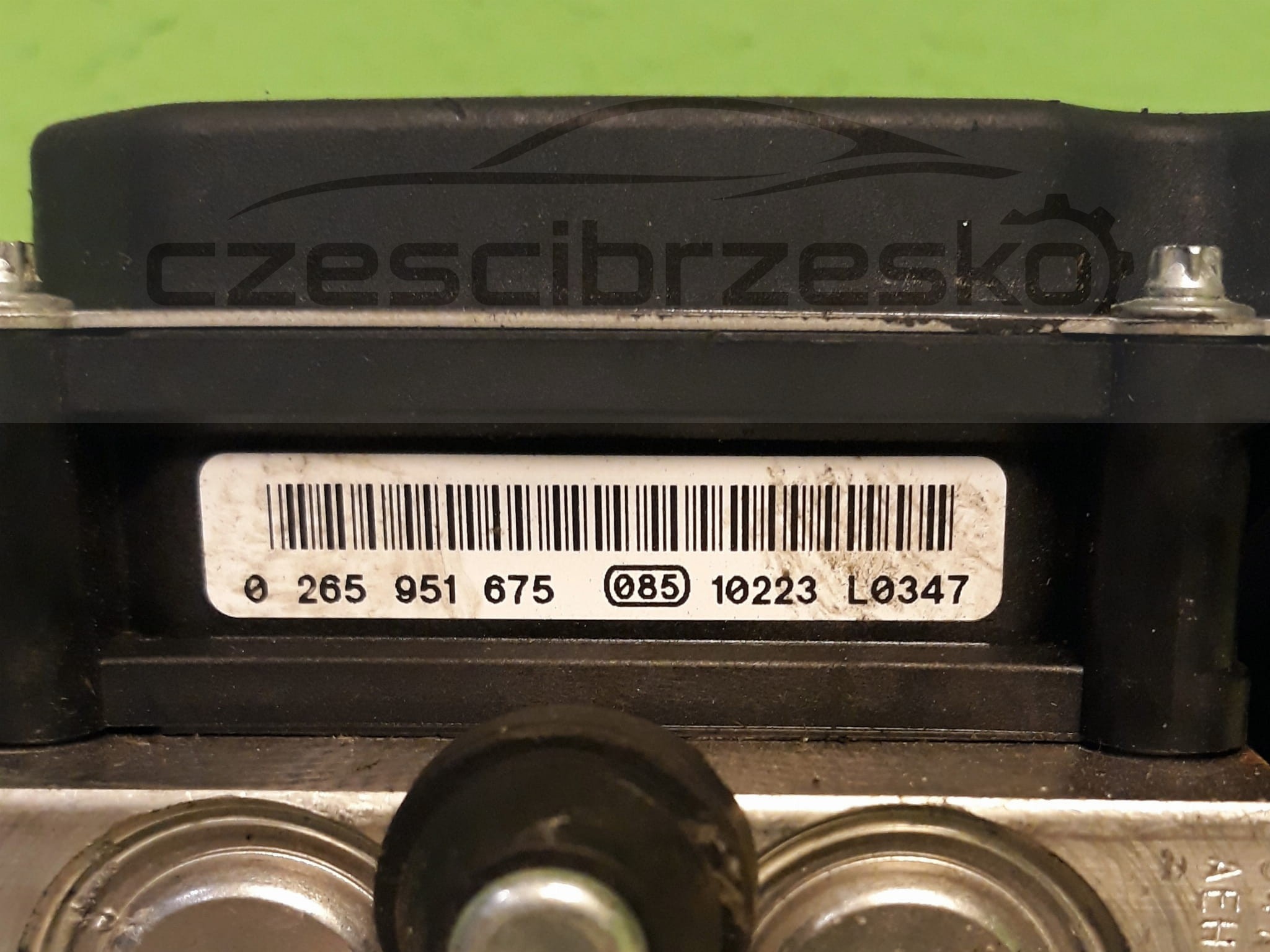 13004cz2.jpg
