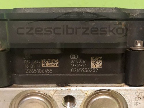 13009cz2.jpg