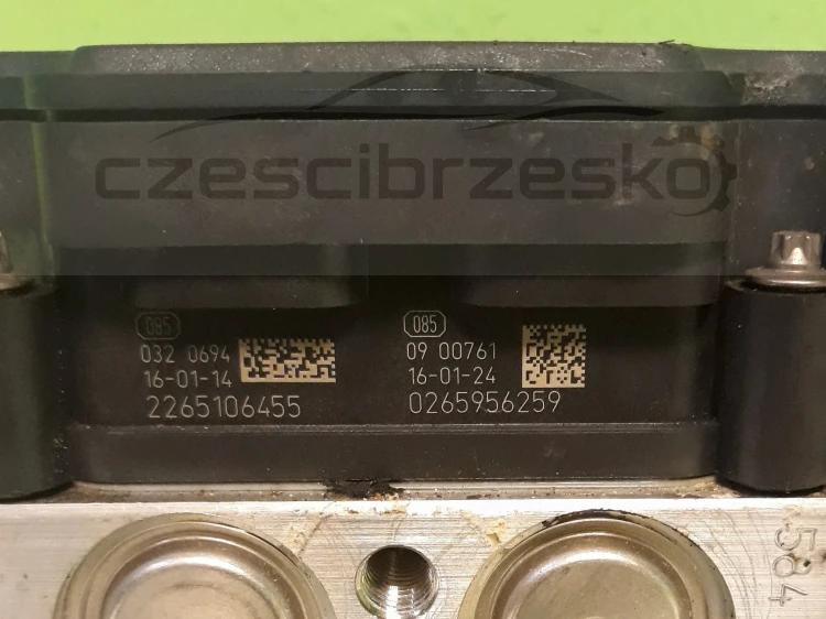 13009cz2.jpg