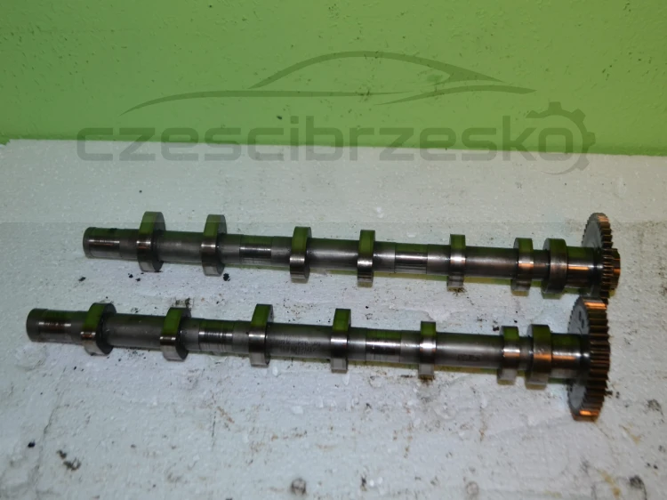 13048cz5.JPG