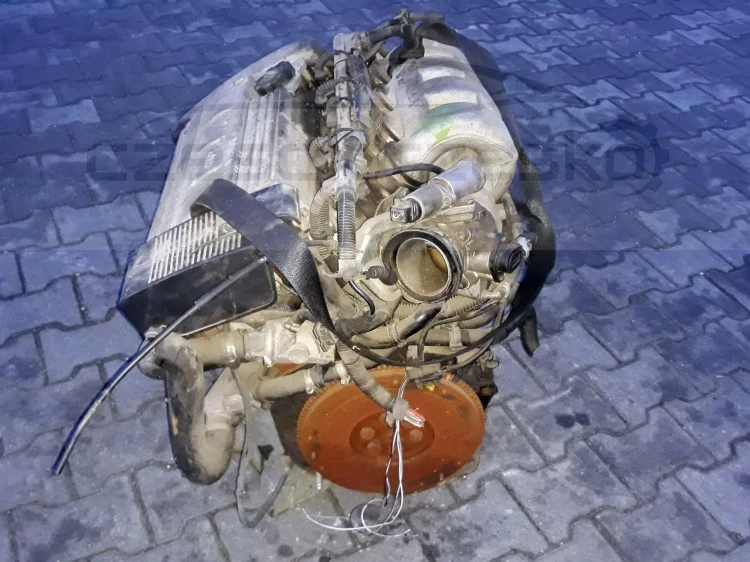 l4.jpg