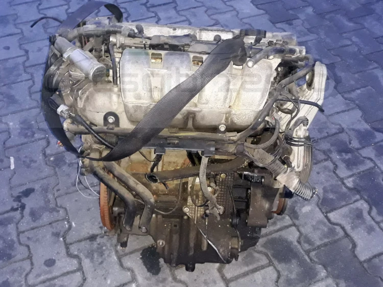 l5.jpg