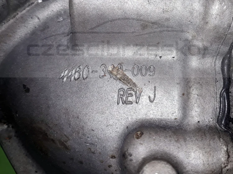 13149cz5.jpg