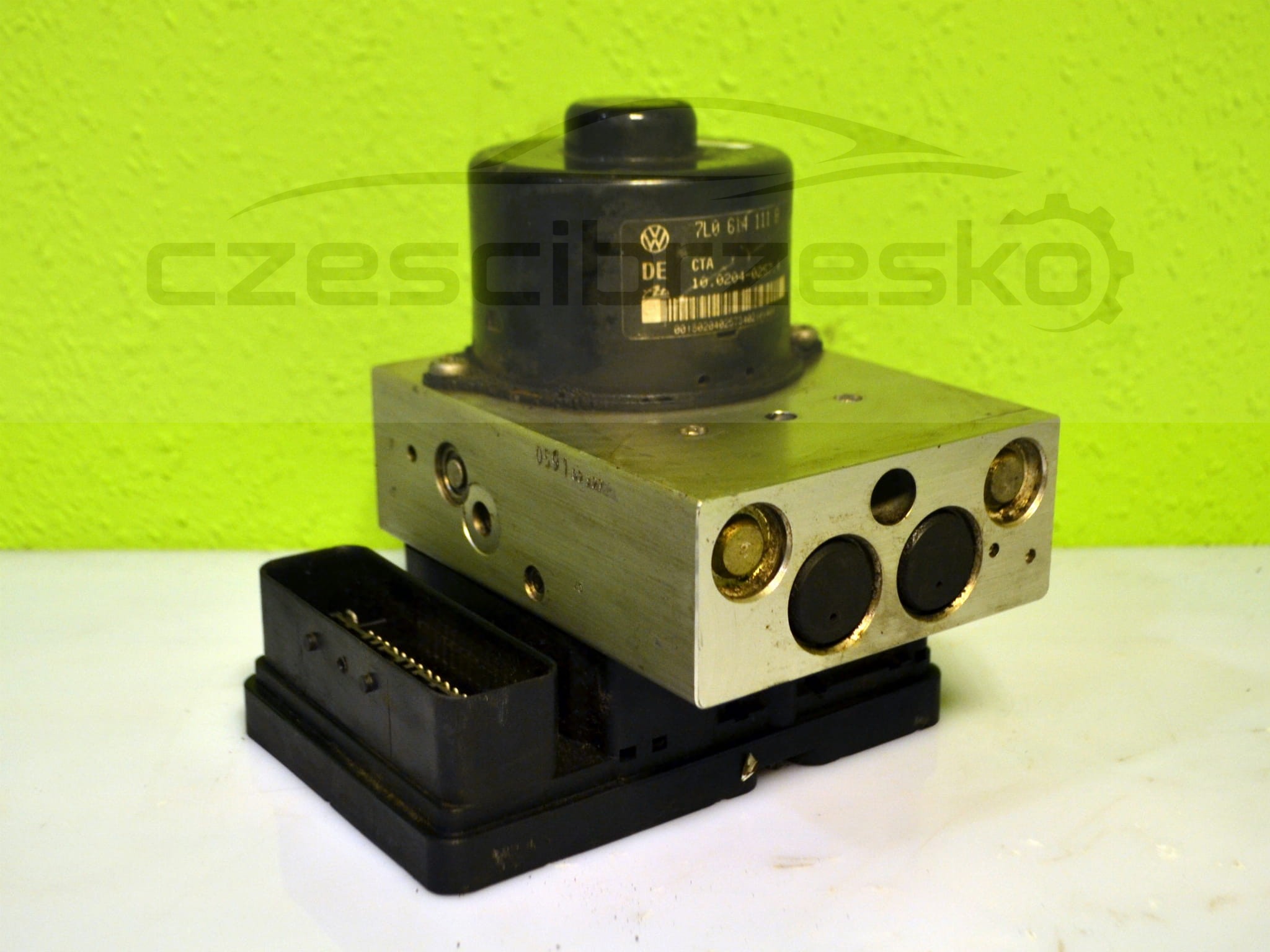 13188cz1.JPG