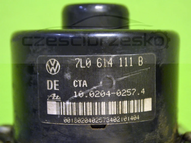 13188cz3.JPG