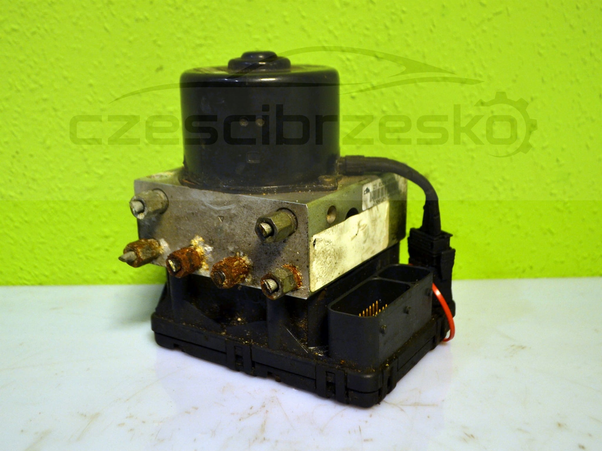 13205cz1.JPG
