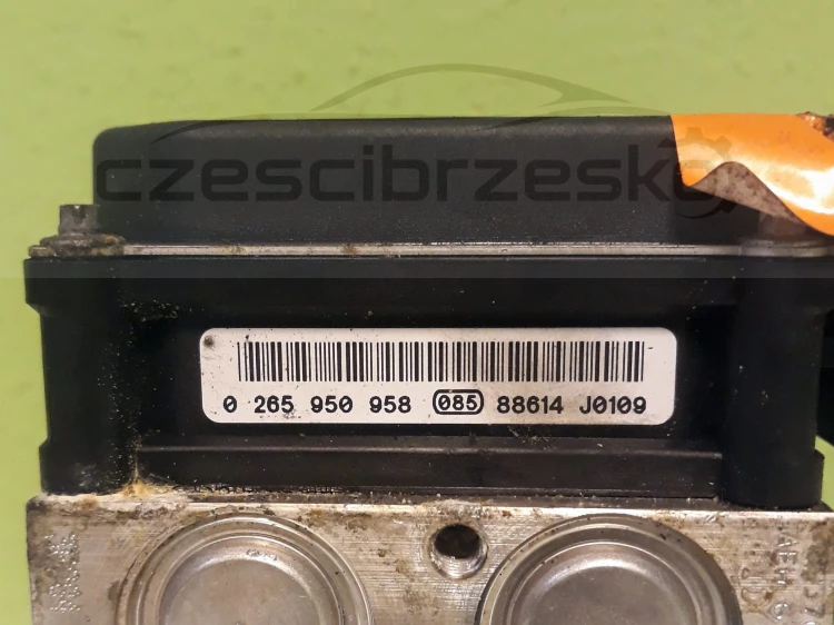 13267cz2.jpg