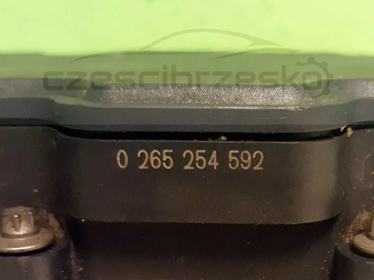 13287cz2.jpg