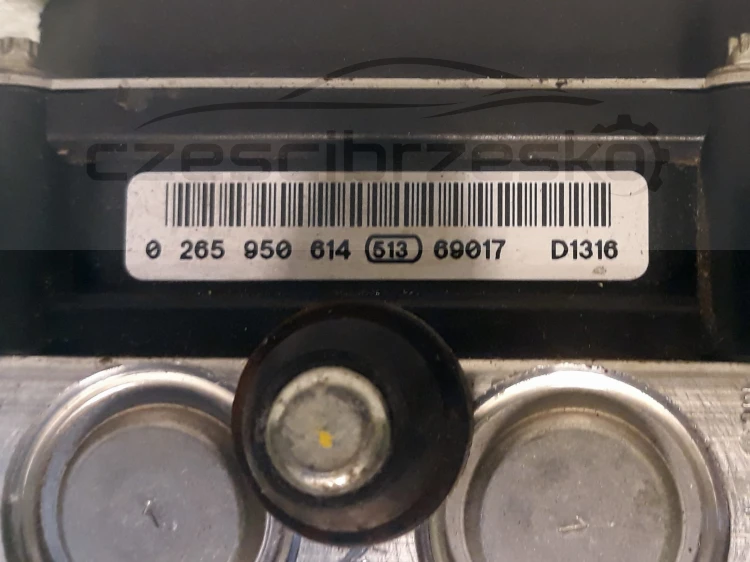 13295cz3.jpg