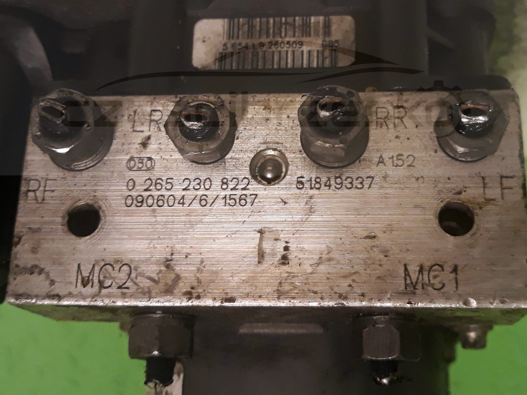 13305cz2.jpg