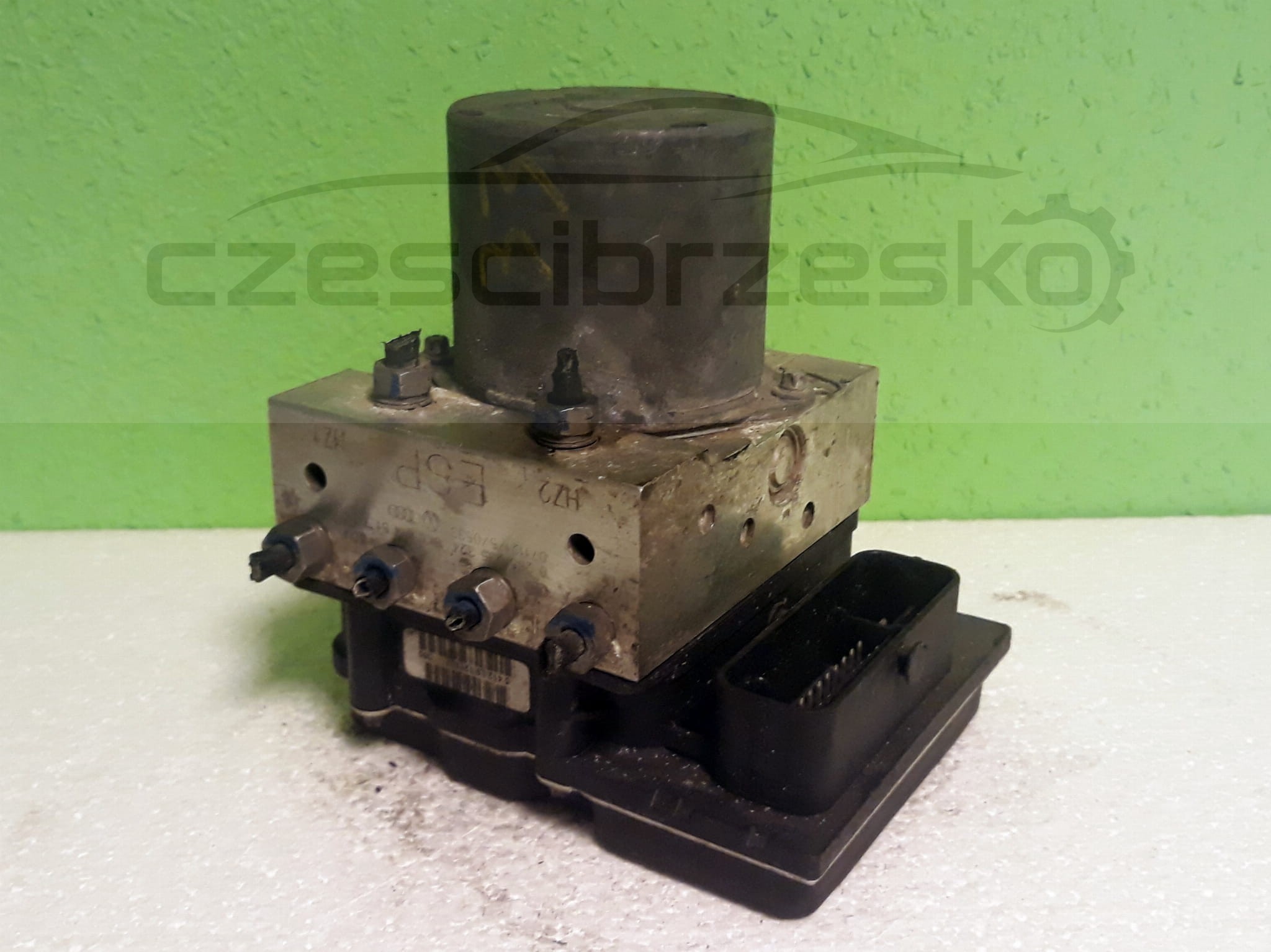 13306cz1.jpg