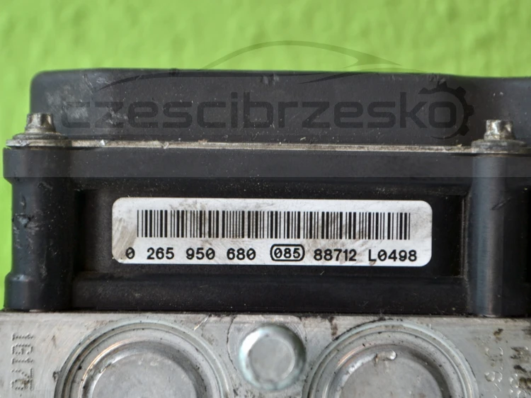 13481cz3.JPG