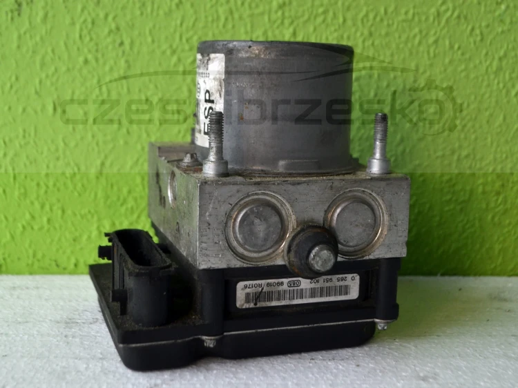 13482cz1.JPG