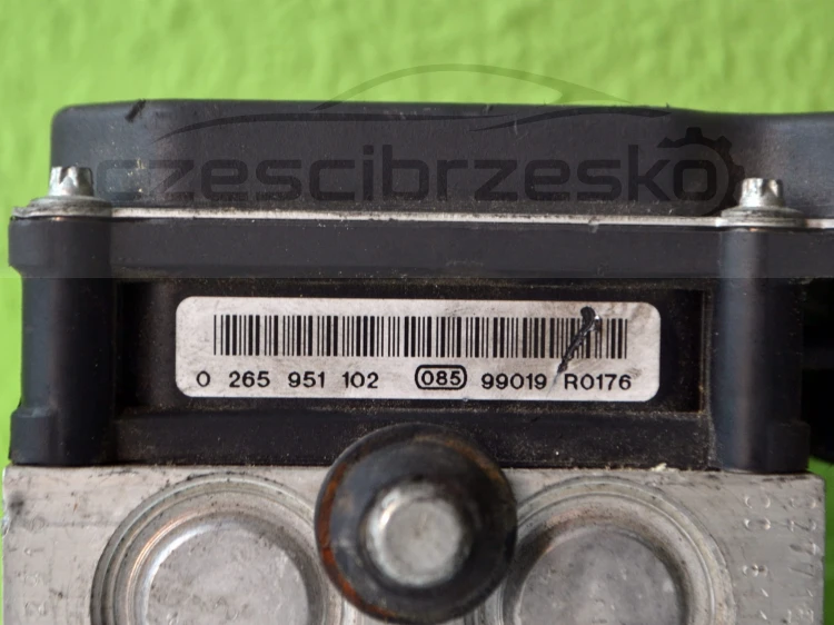 13482cz4.JPG