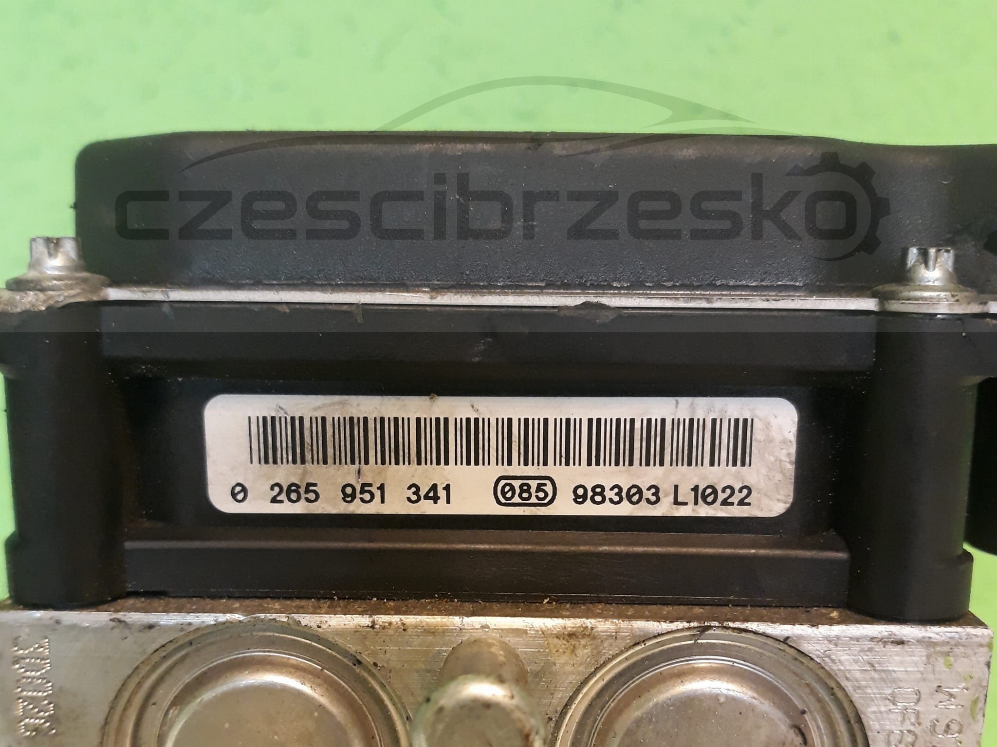 13483cz2.jpg