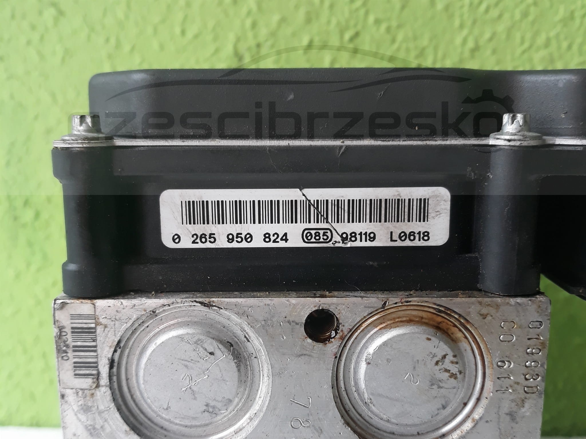 9797cz2.jpg