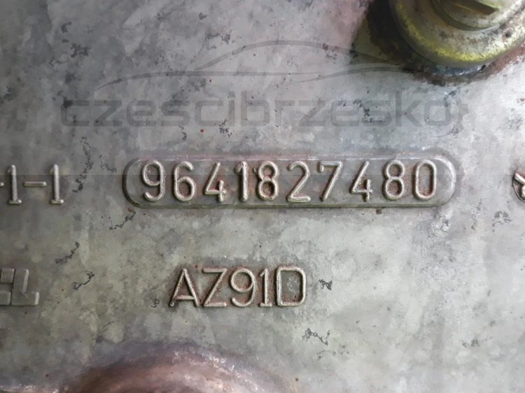 13661cz8.jpg