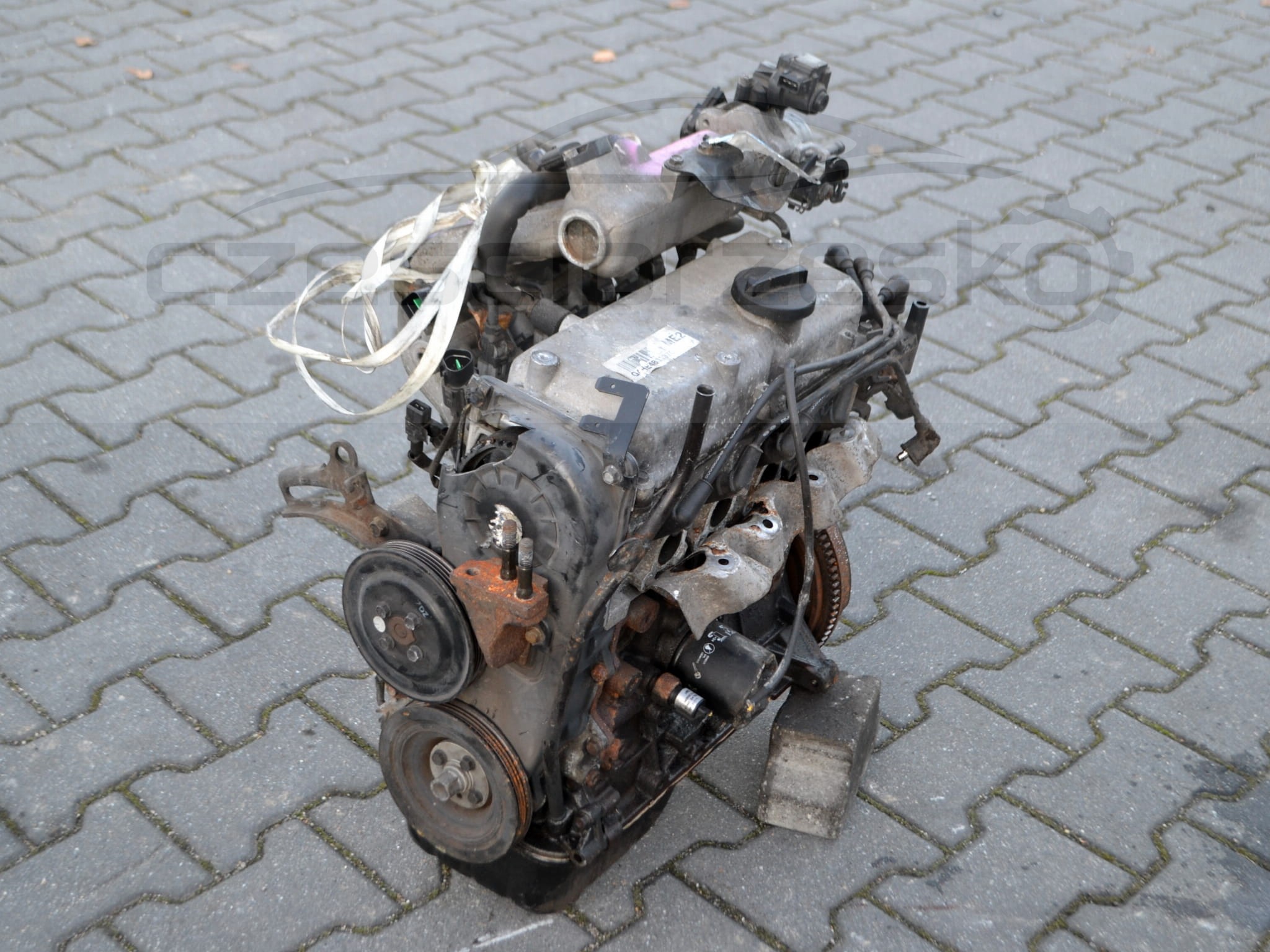 DSC_0030.JPG