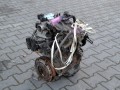 DSC_0032.JPG