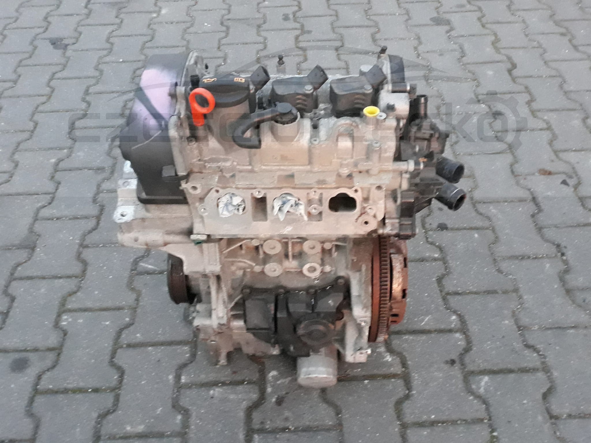 e1.jpg