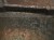 13765cz3.JPG