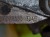 13768cz5.JPG