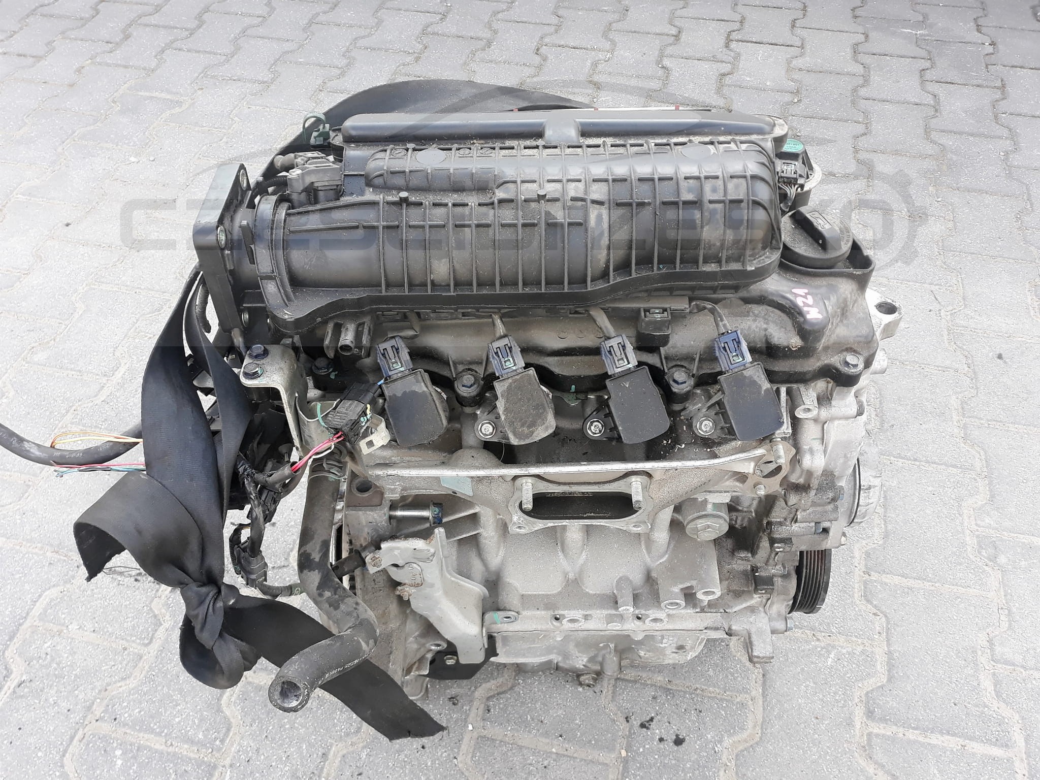 e2.jpg