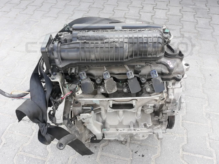 e2.jpg