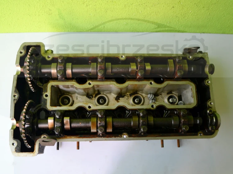 13902cz5.JPG