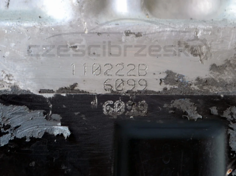 13956cz5.JPG