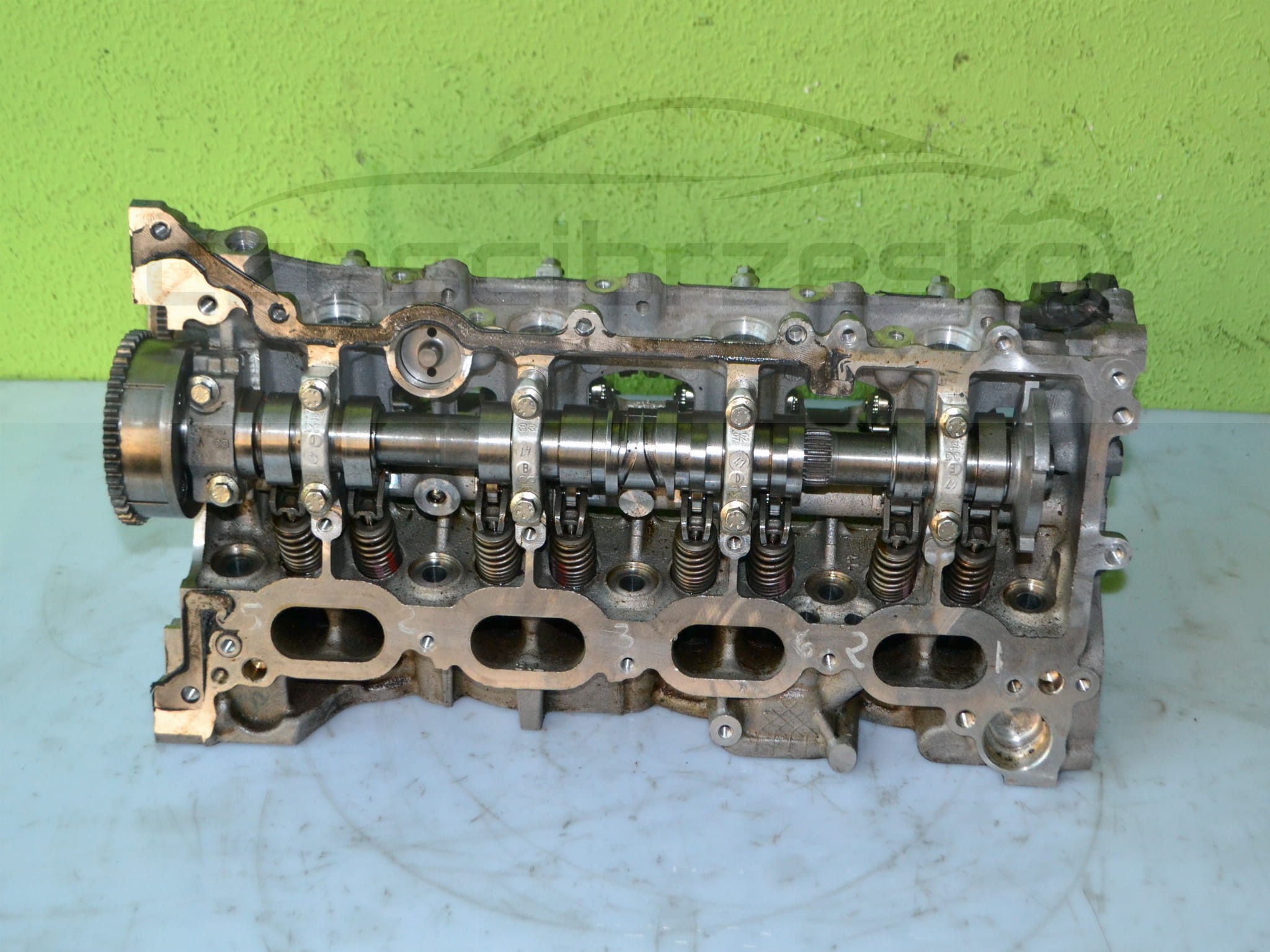 14046cz1.JPG