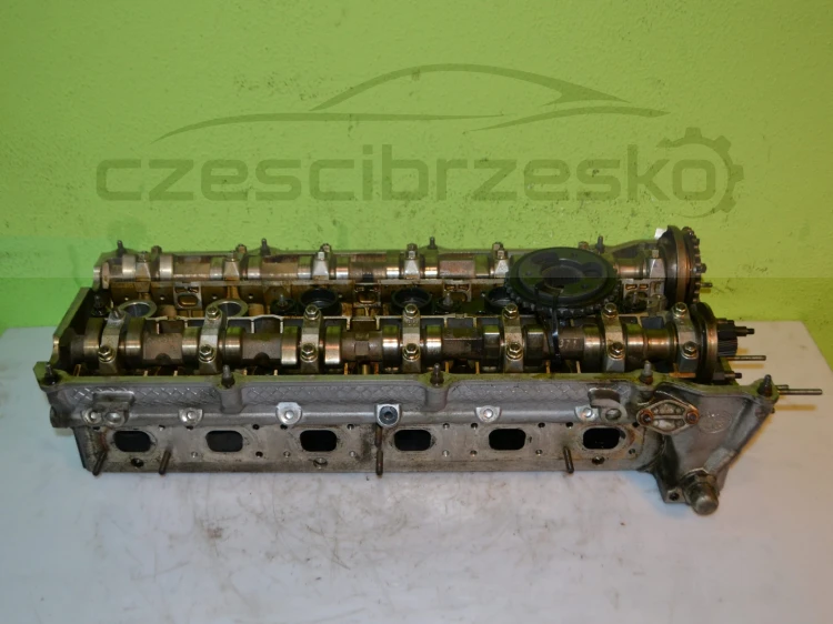 11517cz1.JPG