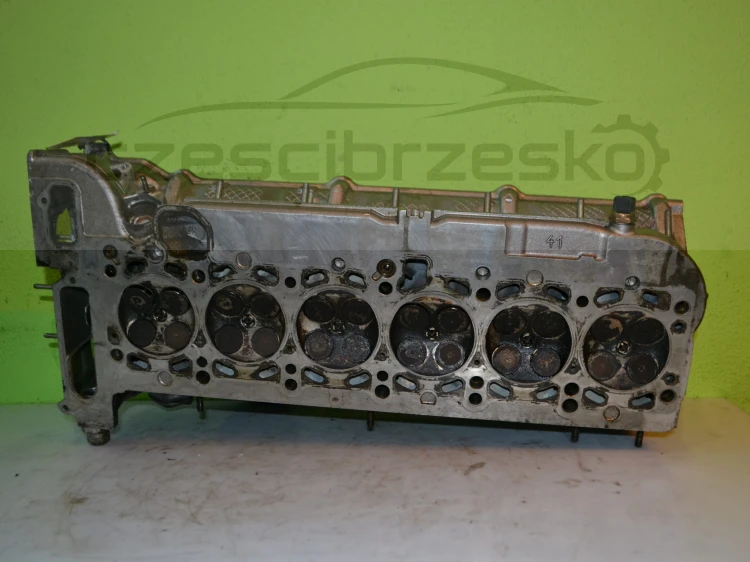 11517cz5.JPG
