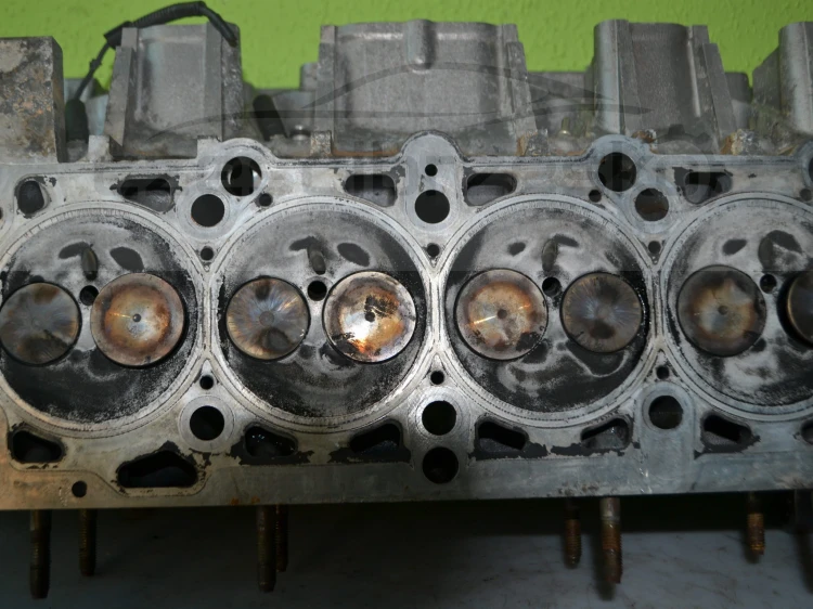 14058cz5.JPG