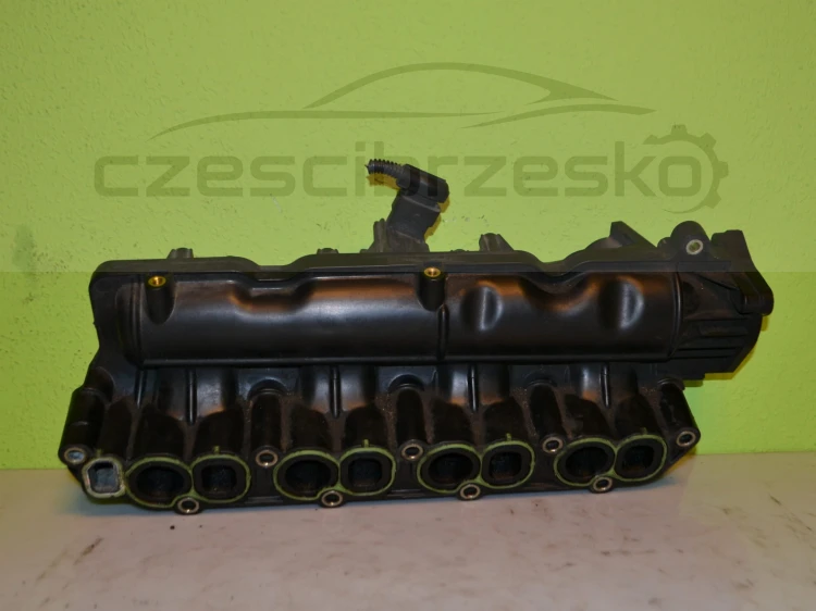 14109cz2.JPG